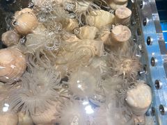 -味钱塘·钱塘渔鲜·地道江浙菜(宋城店)