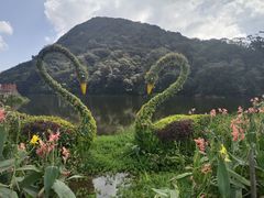 -广州市石门国家森林公园
