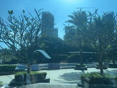 -蛇口希尔顿南海酒店·随轩中餐厅·粤菜