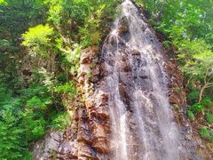 -龙道沟景区