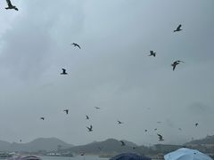 -海驴岛(荣成市)