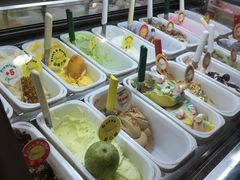 -柠檬车露(卖草地店)
