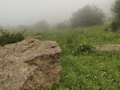 -白草畔自然风景区