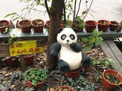 -苏州桃花坞国际青年旅舍