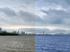 -深圳湾公园(南山区)