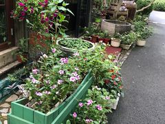 -阳光家常菜游客餐厅(千佛山店)