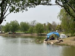 -上海滨江森林公园