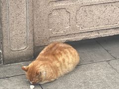 -西园寺素食(西园弄戒幢律寺店)