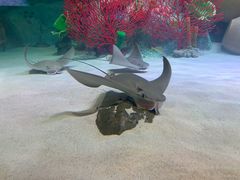 -沈阳海洋探索中心