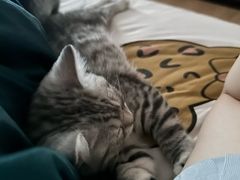 -瑞派福兴宠物医院犬猫全科·骨科·中西医结合(河东店)