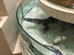 -白金汉爵大酒店(相城店)