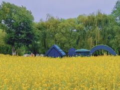 -长白岛森林公园