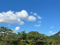 -景福宫
