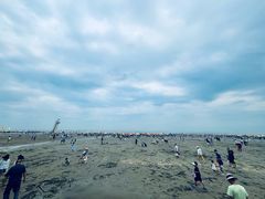 -江山半岛白浪滩景区