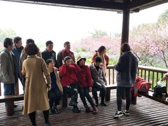 -圩墩遗址公园