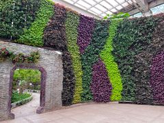 -石家庄市植物园