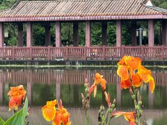 -顺峰山公园