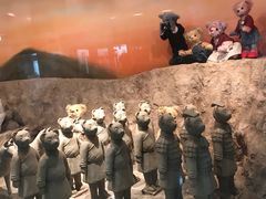 -济州岛泰迪熊博物馆