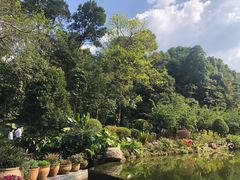 -深圳仙湖植物园