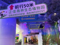 -正佳雨林生态植物园