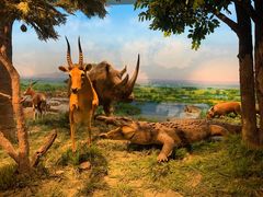 -国家自然博物馆