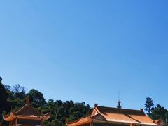 -深圳仙湖植物园