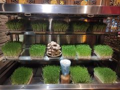 -蜀大侠火锅(四川北路店)