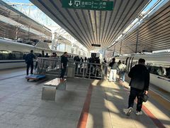 -北京全聚德(西客站店)