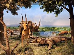 -国家自然博物馆