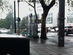 -常识咖啡common sense(春熙路店)
