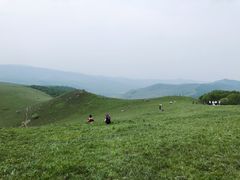 -丰宁坝上草原