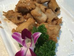 -顺德佬酒楼(愉龙店)