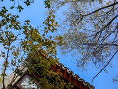景观位-祝家花園(伯渎港店)