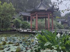 -广州神农草堂中医药博物馆
