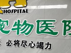 -半岛宠物医院24小时(白果林店)