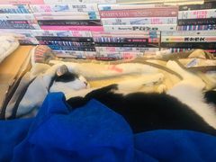 -猫的天空之城概念书店(杭州南宋御街店)