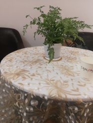 -心迪染发专门店
