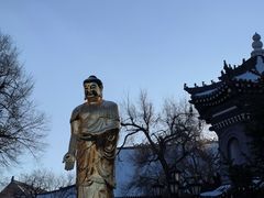 -哈尔滨极乐寺