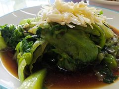-老村长农家院