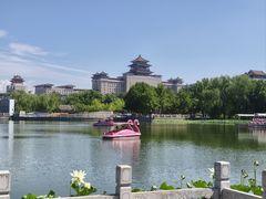 -莲花池公园