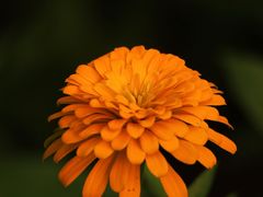 -上海吴淞炮台湾国家湿地公园