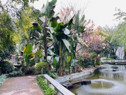 点击看大图 -莲生母婴月子中心(清水河公园店)