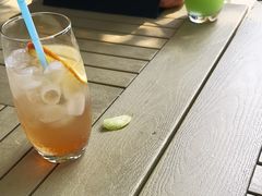 -两棵枇杷树