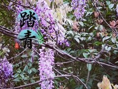 -郑和公园