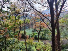 -午潮山国家森林公园