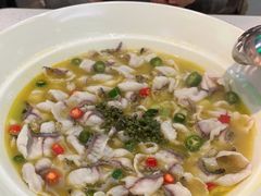 -青花椒花椒鱼(合生汇店)