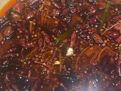 -宏宴·新京菜(望京店)