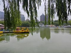 -团结湖公园