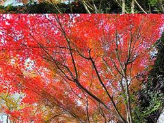 -南京市民俗博物馆(甘熙故居)