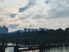 -前关湿地公园